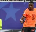 Denzel Dumfries ke Real Madrid, PSV Eindhoven Ikut Bangga