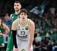 Tarik Biberovic Resmi Tinggalkan Fenerbahce Gabung dengan Mavericks
