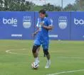 Adam Alis Doakan Igor Tolic Sukses Jadi Pelatih Kepala Persib