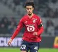 Manchester City Intensifkan Upaya Rekrut Ayyoub Bouaddi dari Lille