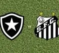 Prediksi Botafogo vs Santos, 17 Juli 2026 Brasileiro