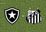 Prediksi Botafogo vs Santos, 17 Juli 2026 Brasileiro