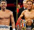 Crawford Desak Shakur Stevenson Segera Hadapi Devin Haney