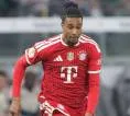 Michael Olise Diklaim Ngebet Gabung Real Madrid, Bayern Mulai Was-was