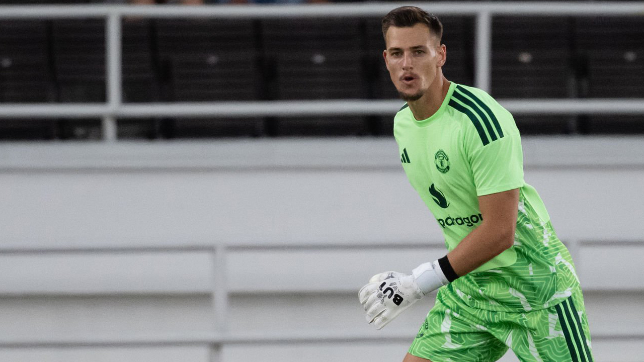 Manchester United Siap Lepas Radek Vitek dengan Harga Terjangkau