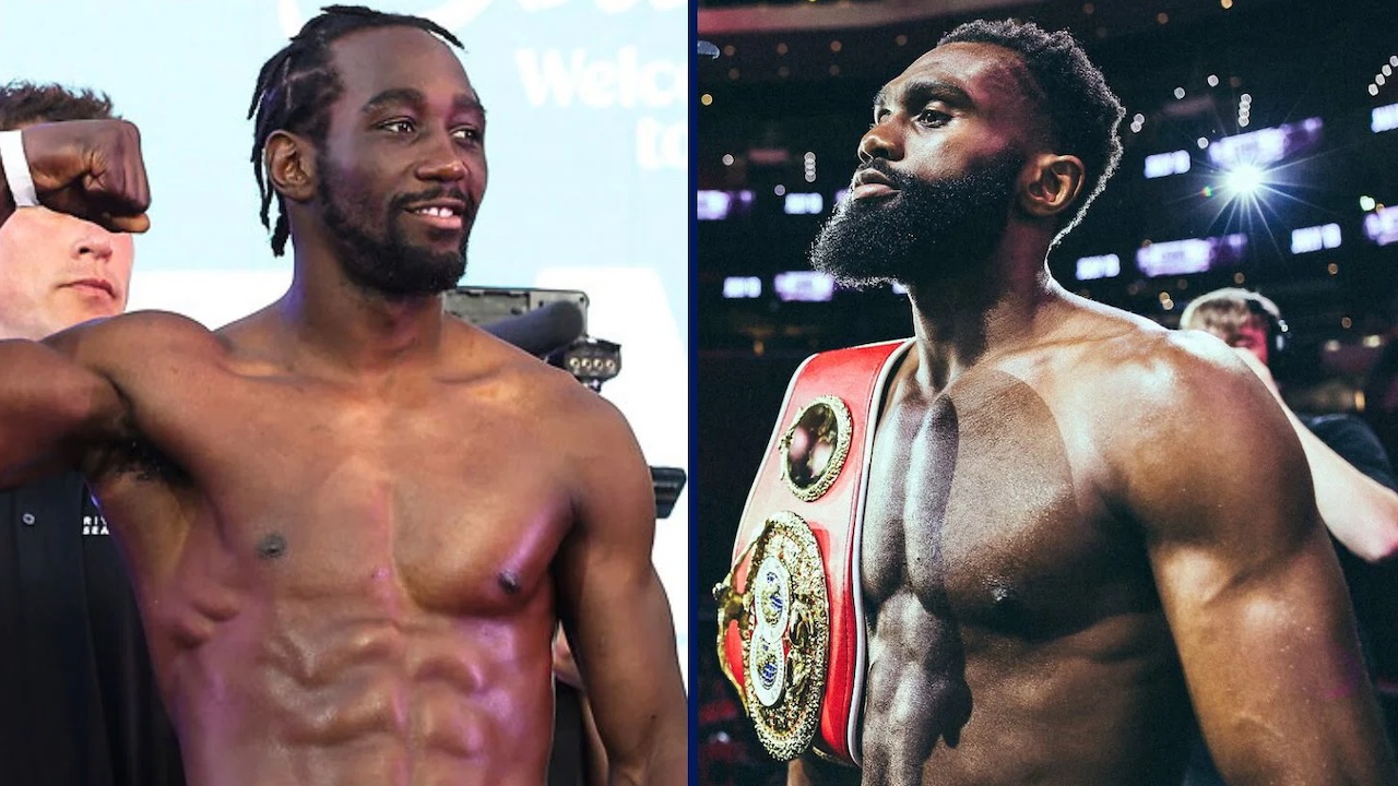 Stevenson Bandingkan Kekuatan Pukulan Jaron Ennis dan Terence Crawford