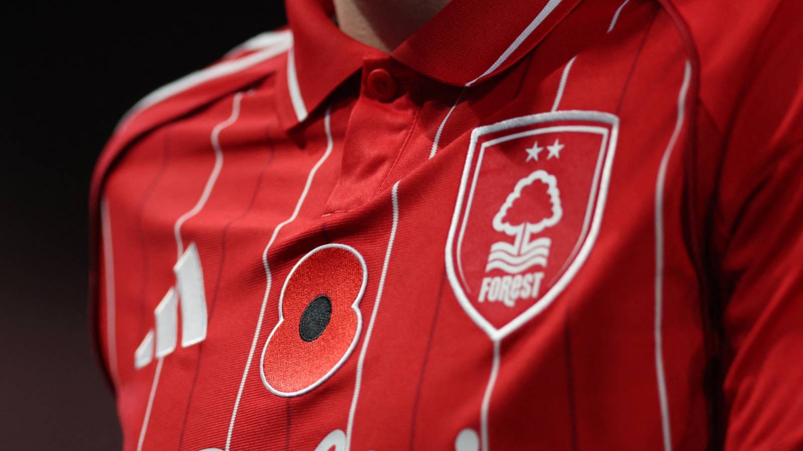 Mengungkap Makna Dua Bintang pada Logo Nottingham Forest