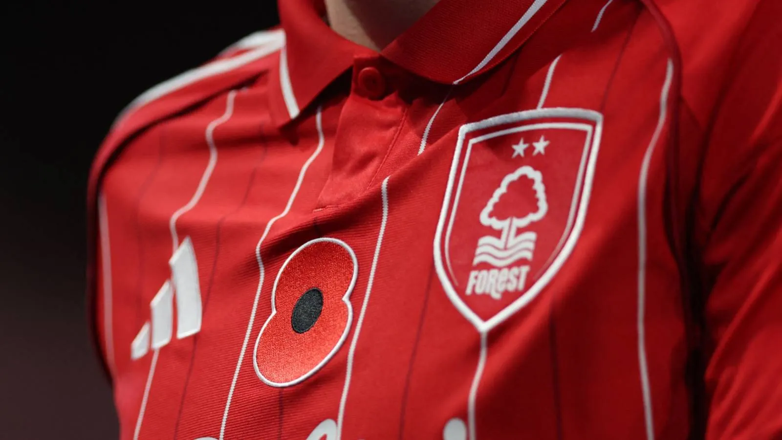 Mengungkap Makna Dua Bintang pada Logo Nottingham Forest - sumber: (givemesport)
