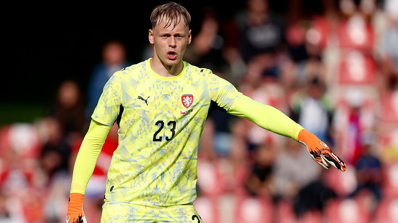 Newcastle United Belum Ajukan Tawaran Resmi untuk Lukas Hornicek