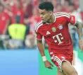 Luis Diaz Tolak Rayuan Al-Hilal, Pilih Bertahan di Bayern Munich