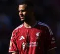 Spurs Siap Kejar Cody Gakpo Jika Liverpool Rekrut Bradley Barcola