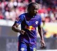 Transfer Yan Diomande ke Real Madrid Belum Beres, Negosiasi Lanjut Terus
