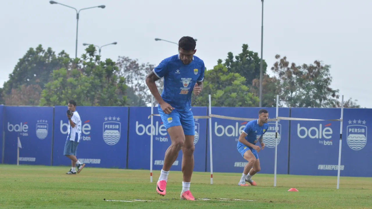 Winger Persib, Berguinho