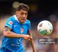 Everton Bidik Bek Atletico Madrid, Nahuel Molina