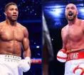 Andy Lee: Fury Perlu Laga Pemanasan Sebelum Lawan Joshua