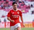 Hull City Selangkah Lagi Boyong Franjo Ivanovic dari Benfica