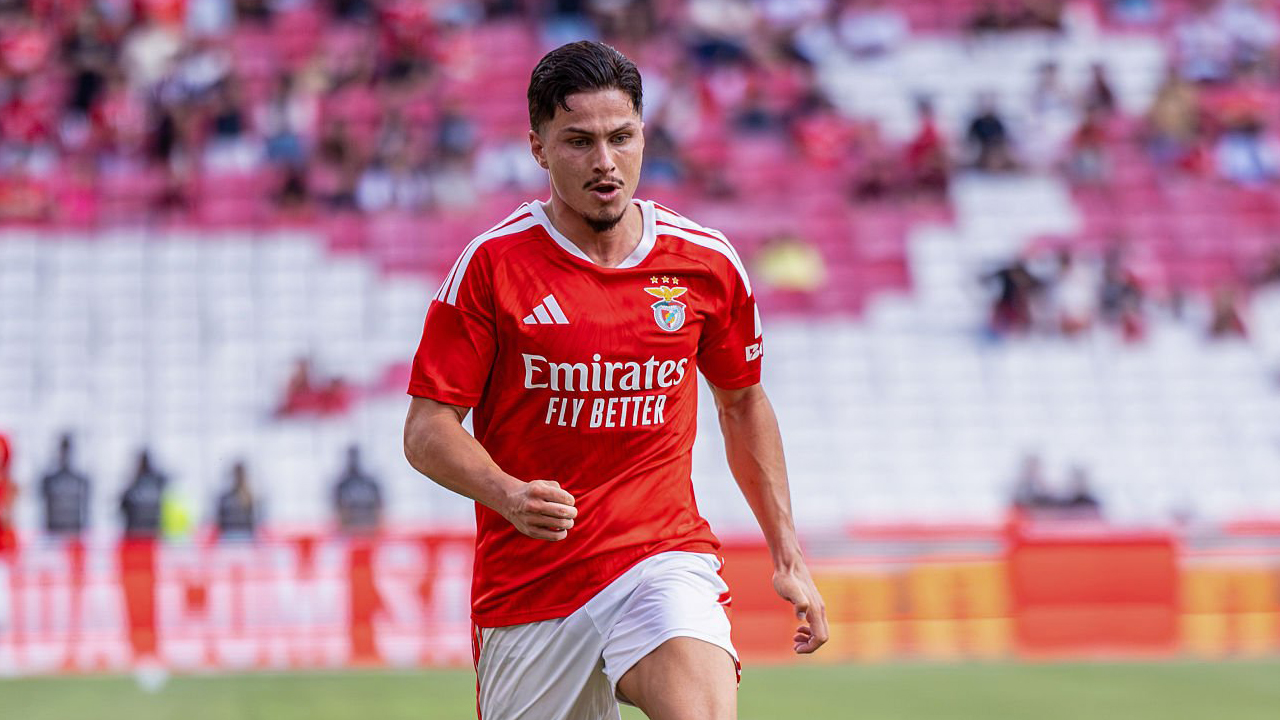 Hull City Selangkah Lagi Boyong Franjo Ivanovic dari Benfica