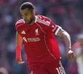Diincar Tottenham, Liverpool Tak Berniat Lepas Cody Gakpo