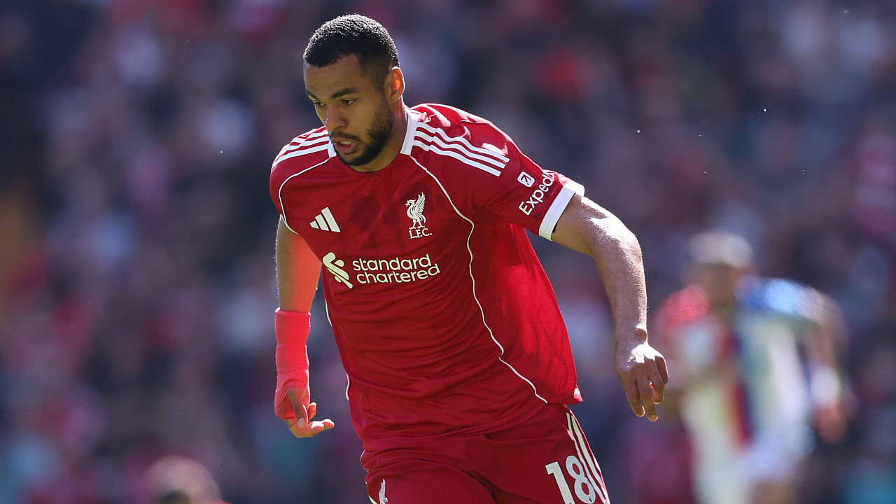 Diincar Tottenham, Liverpool Tak Berniat Lepas Cody Gakpo
