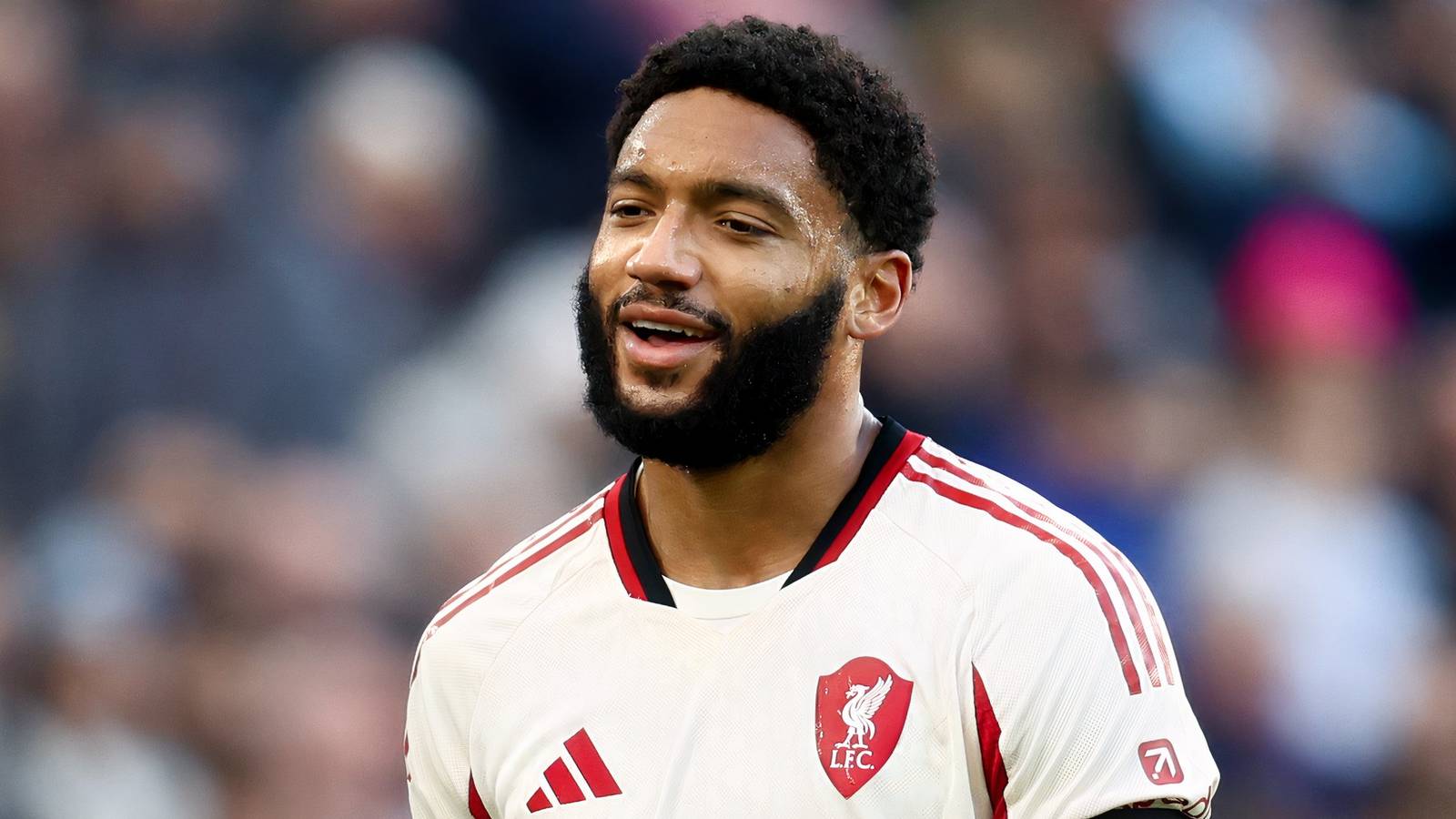 Liverpool Segera Amankan Bek Baru Pasca Cedera Joe Gomez