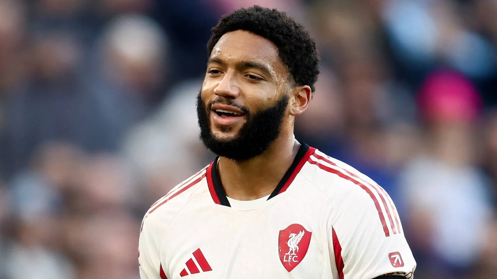 Liverpool Segera Amankan Bek Baru Pasca Cedera Joe Gomez - sumber: (givemesport)