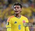Richard Rios Masuk Bidikan Newcastle United, Benfica Siaga