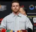 Canelo Alvarez Akui Masih Ingin Balas Dendam pada Terence Crawford