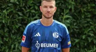 Edin Dzeko Kembali Bergabung dengan Schalke 04: Apa Alasannya?