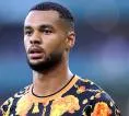 Mengapa Tottenham Ingin Rekrut Cody Gakpo? Ini Alasan Utamanya