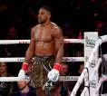 Paman Tyson Fury Sebut Anthony Joshua Belum Siap Hadapi Duel Besar