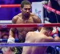 Roy Jones Jr Ungkap Kekhawatiran Usai Anthony Joshua Dijatuhkan Prenga
