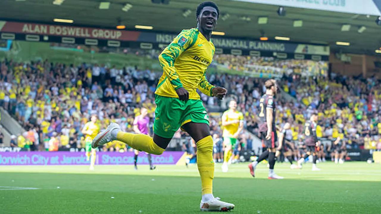 Norwich City Hancurkan MK Dons 4-1, Mohamed Toure Cetak Gol Kilat