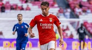 Newcastle United Tertarik Merekrut Amar Dedic dari Benfica