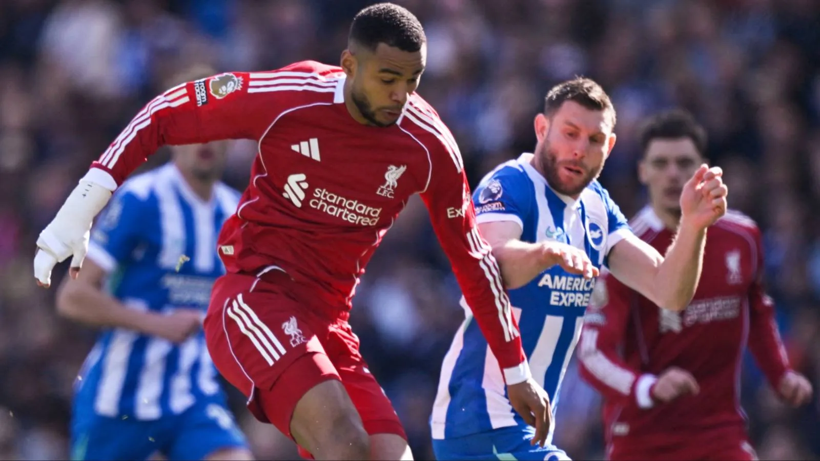 Liverpool Siap Lepas Cody Gakpo ke Tottenham pada Jendela Transfer Berikutnya - sumber: (givemesport)