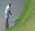 Keith Mitchell dan Jordan Spieth Gagal Lolos ke BMW Championship