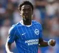Brighton Tolak Tawaran Rangers untuk Amario Cozier-Duberry