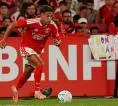 Jadi Transfer Keenam, Newcastle United Resmi Rekrut Amar Dedic dari Benfica