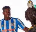 Taiwo Awoniyi Resmi Gabung Coventry City dari Nottingham Forest