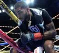 Bomac Nilai Delante Johnson Punya Potensi seperti Terence Crawford