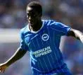 Tawaran Liverpool untuk Yankuba Minteh Ditolak Brighton
