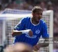 Fabian Hurzeler Yakin Georginio Rutter Bisa Bersinar di Brighton