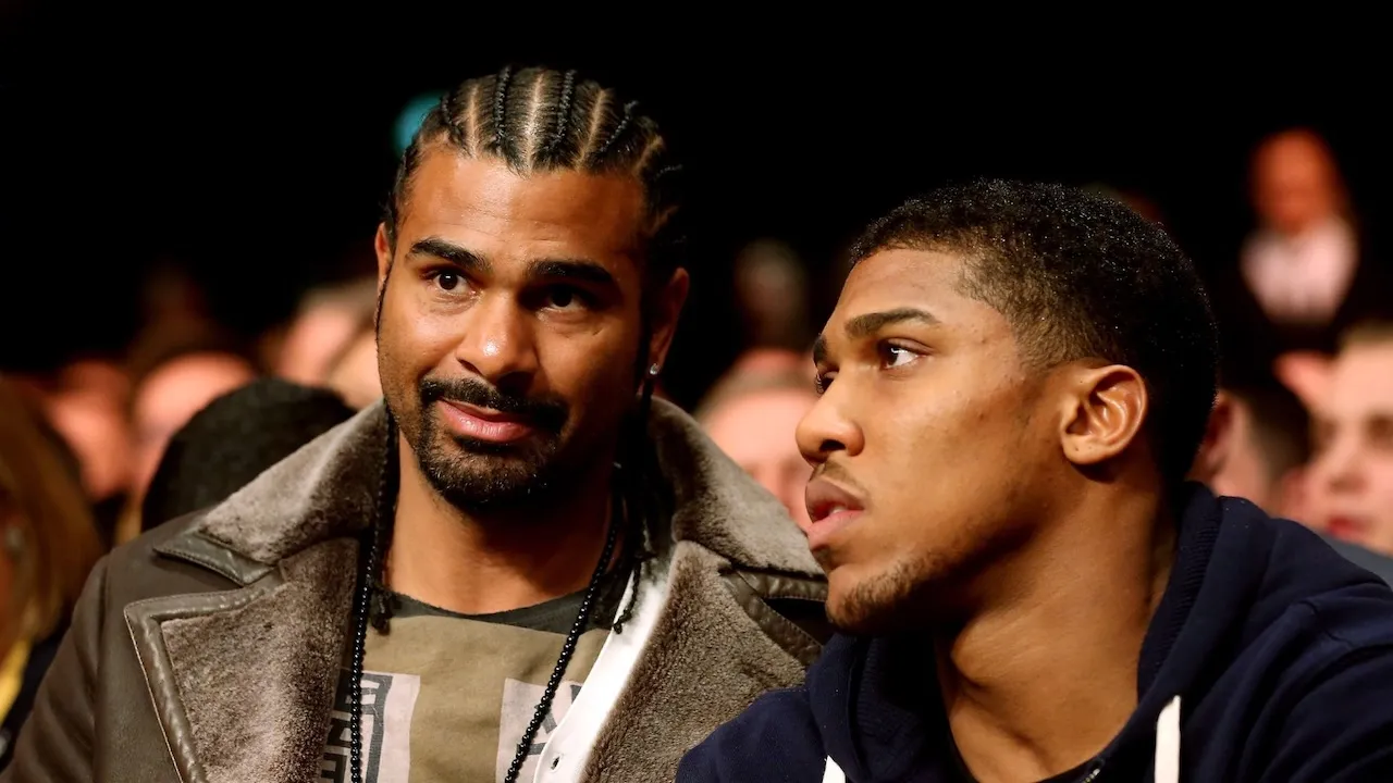David Haye Diyakini Mampu Kalahkan Anthony Joshua