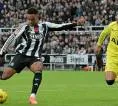 Jelang Tottenham vs Newcastle United di Premier League, Ini 5 Fakta Menarik yang Bisa Disimak