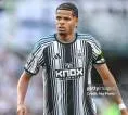 Matthias Jaissle Beri Kabar Cedera William Osula di Newcastle