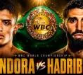 Sebastian Fundora vs Ermal Hadribeaj Resmi Digelar, Gelar WBC Jadi Taruhan