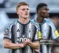 Harvey Barnes Beri Peringatan untuk Sandro Tonali Jelang Duel Panas