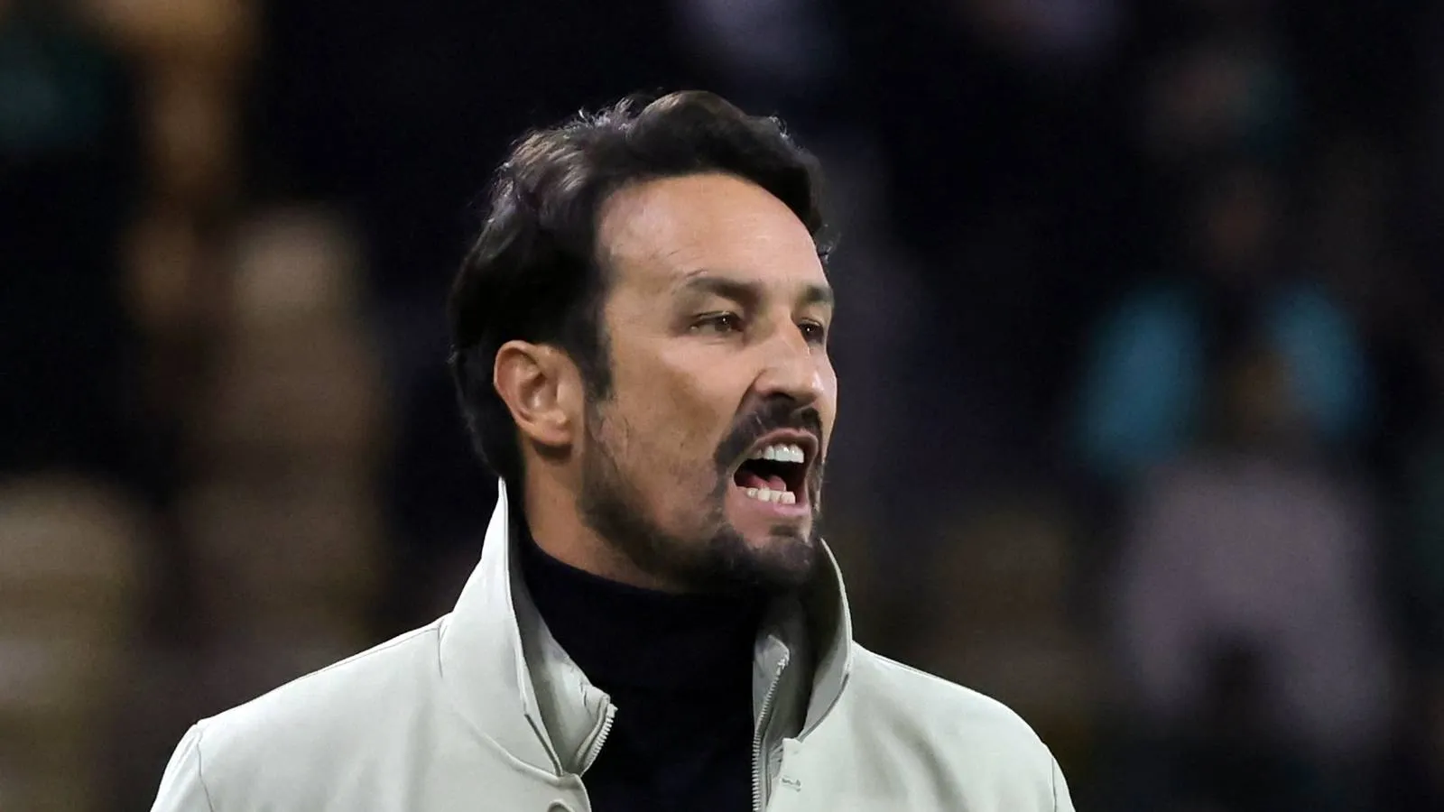 Wolves Dekati Penyerang Newcastle untuk Kesepakatan Pinjaman - sumber: (givemesport)