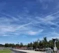 FIA Umumkan Peringatan Panas untuk GP Italia 2026