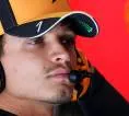 Peningkatan Signifikan Lando Norris Diungkap Andrea Stella