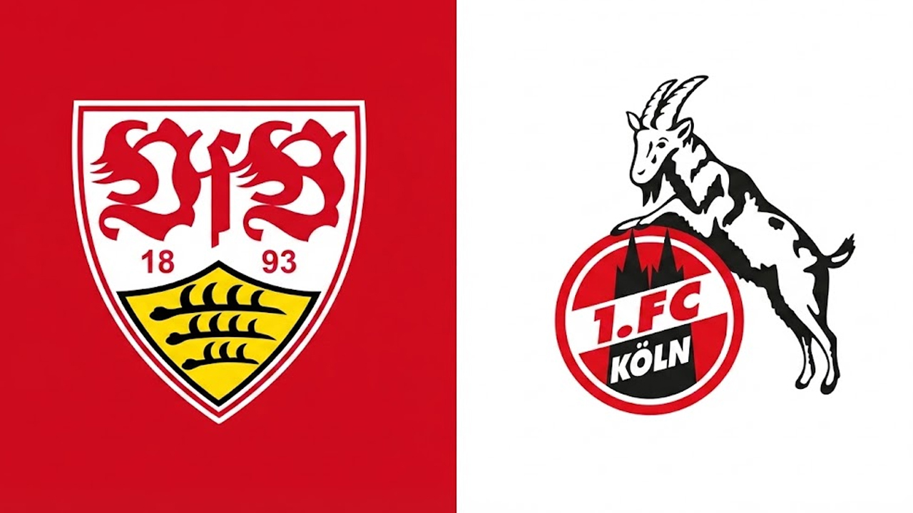 Angka dan Statistik Jelang Laga Stuttgart vs Cologne di Bundesliga Jerman